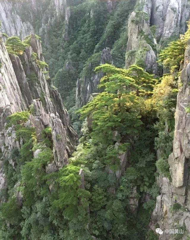 解惑蜗牛-
